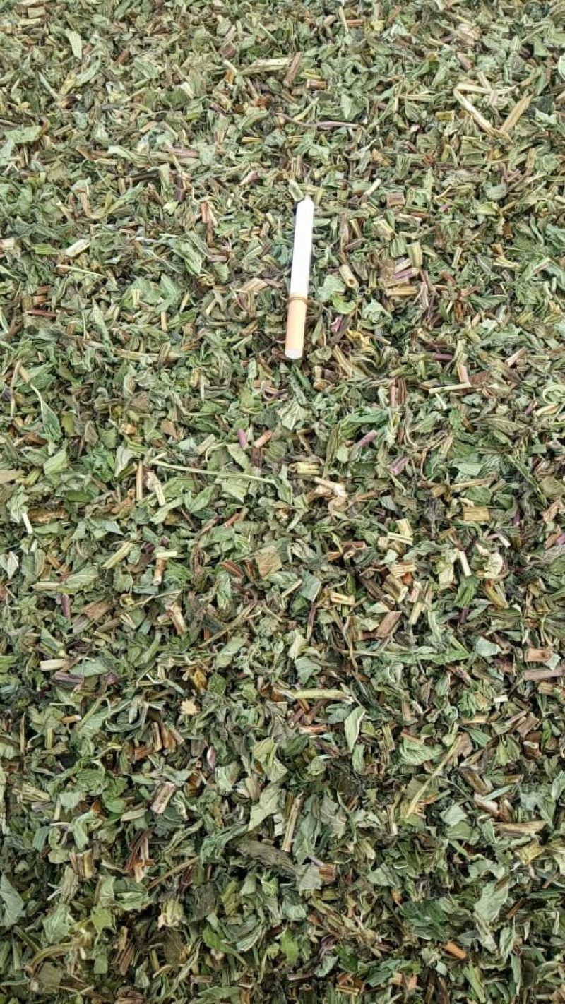 薄荷统片