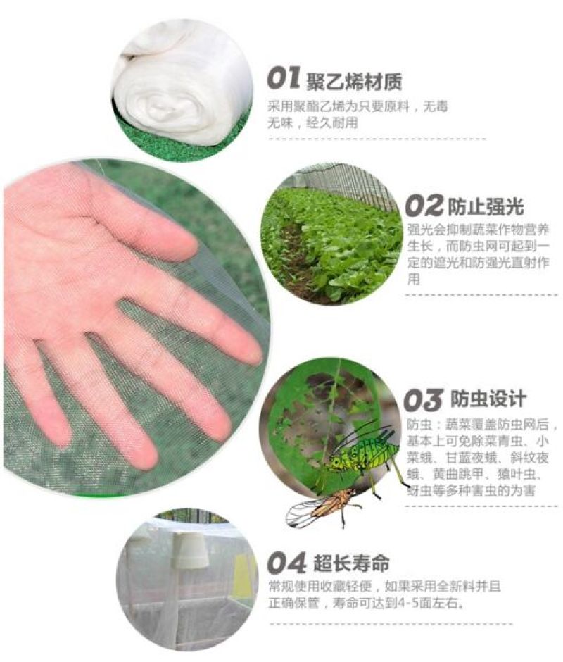 防虫网50目