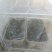 防虫网60目