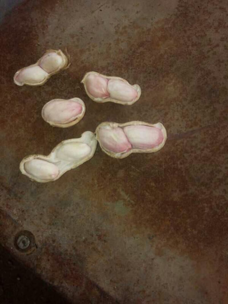 花生鲜货带壳过筛手选颗粒饱满口感甜又脆