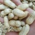 花生鲜货带壳过筛手选颗粒饱满口感甜又脆
