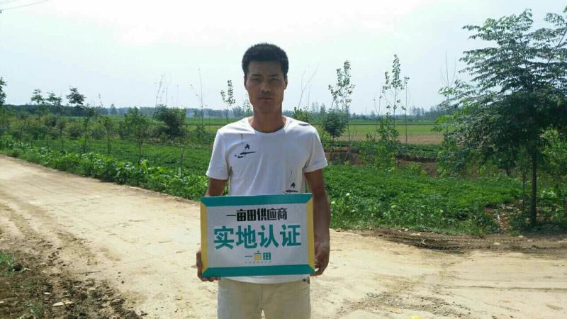花生鲜货带壳过筛手选颗粒饱满口感甜又脆