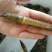 基围虾食用活虾