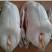 乌錝鹅苗60~70g
