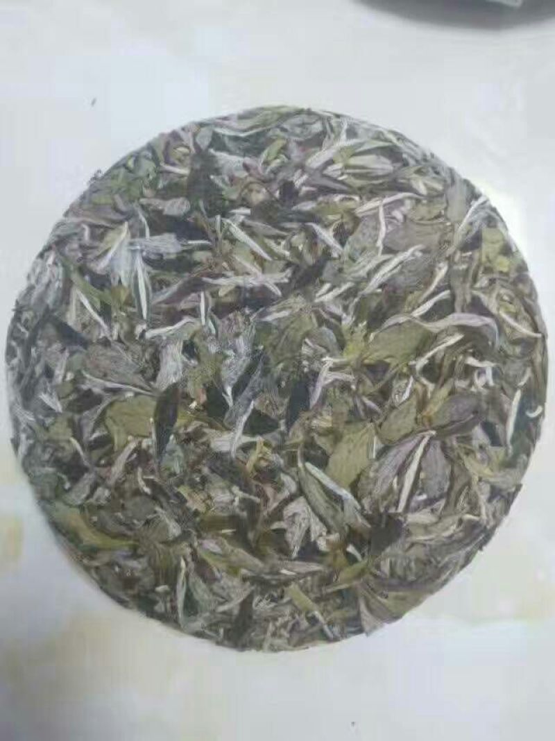 福鼎白茶一级