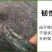 大棚棉被大棚保温