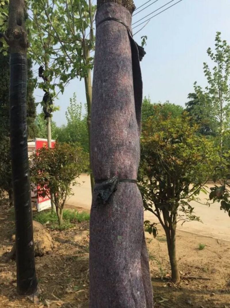 大棚棉被大棚保温