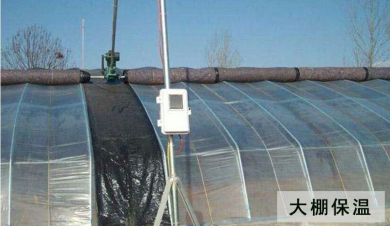 大棚棉被大棚保温