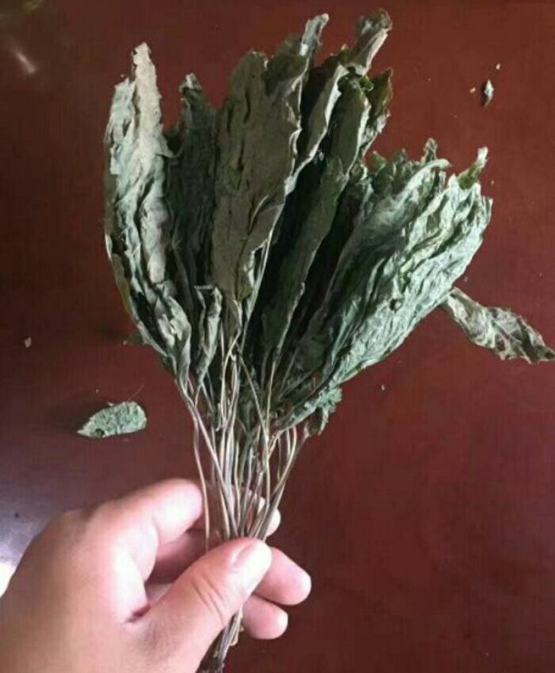 人参叶新货各种中药材批发质量保证