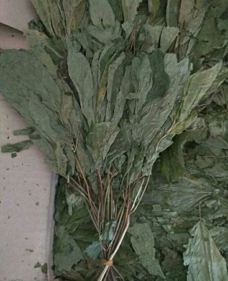 人参叶新货各种中药材批发质量保证