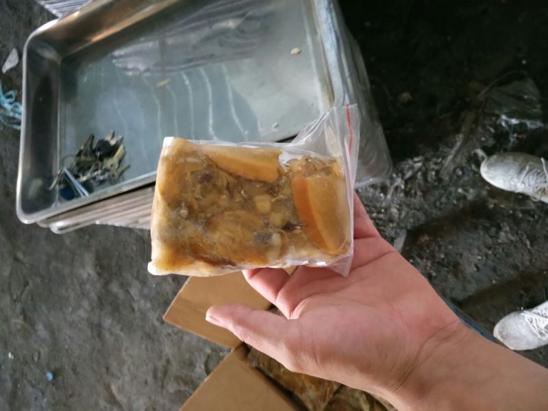 河蚌