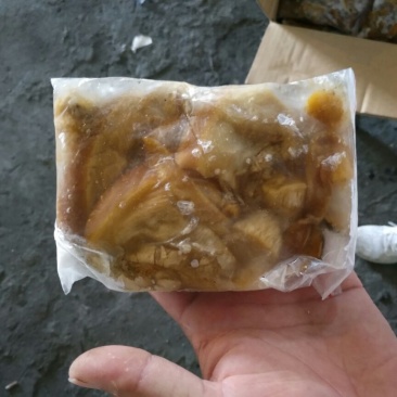 河蚌