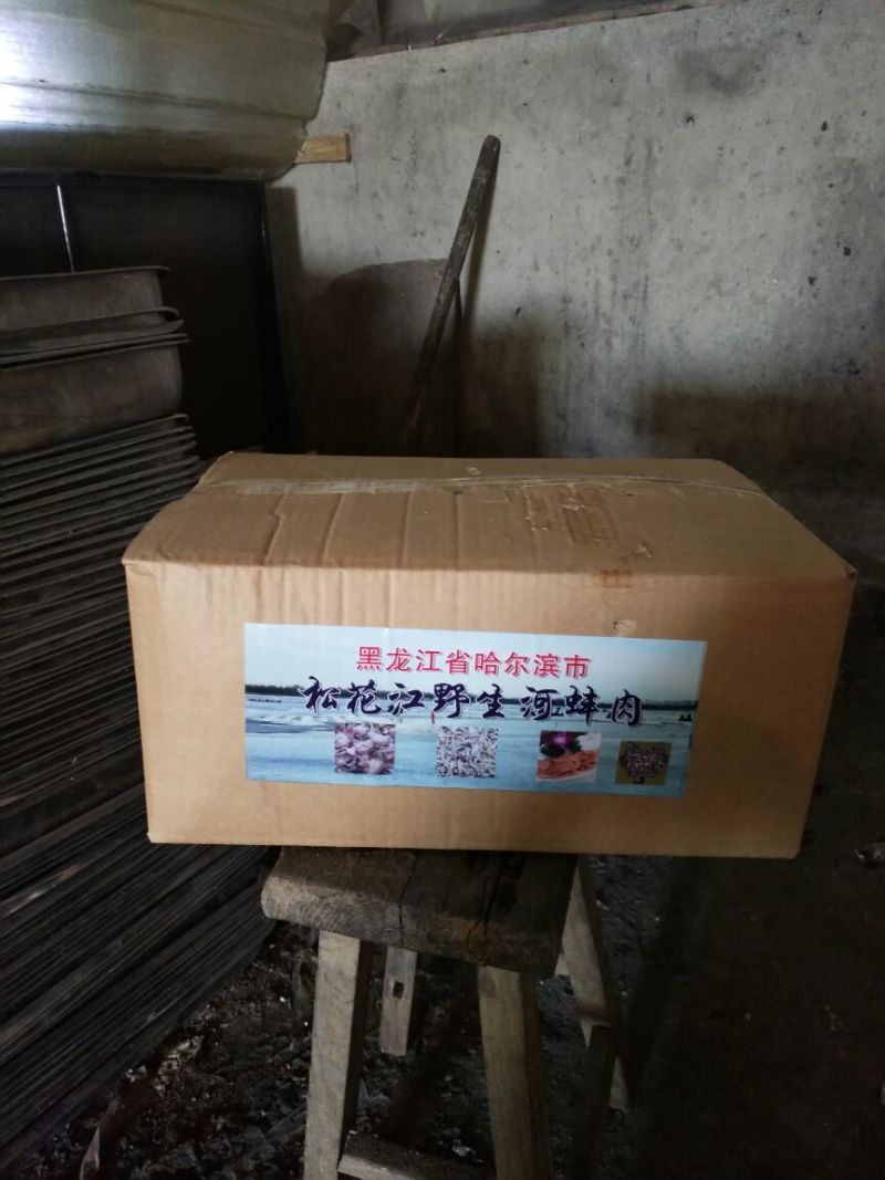 河蚌