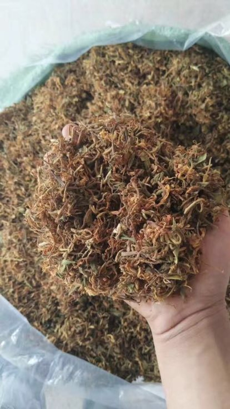 野生金银花