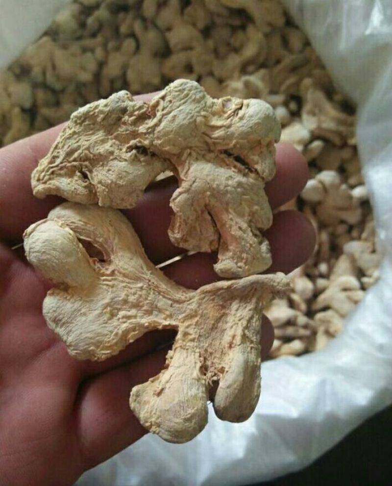 干姜干姜片药用调料各种中药材批发质量保证