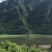 蓝丰蓝莓鲜果12~14mm以上