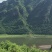 蓝丰蓝莓鲜果12~14mm以上
