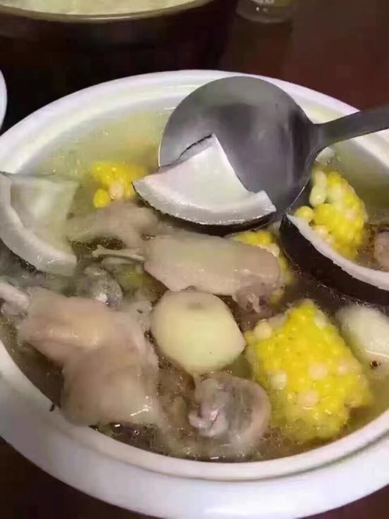 海南椰子青椰抛光椰皇