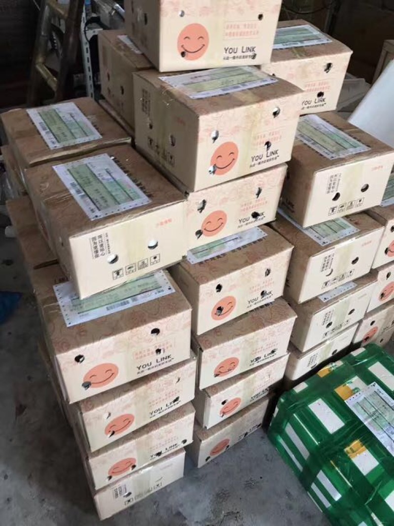 海南椰子青椰抛光椰皇