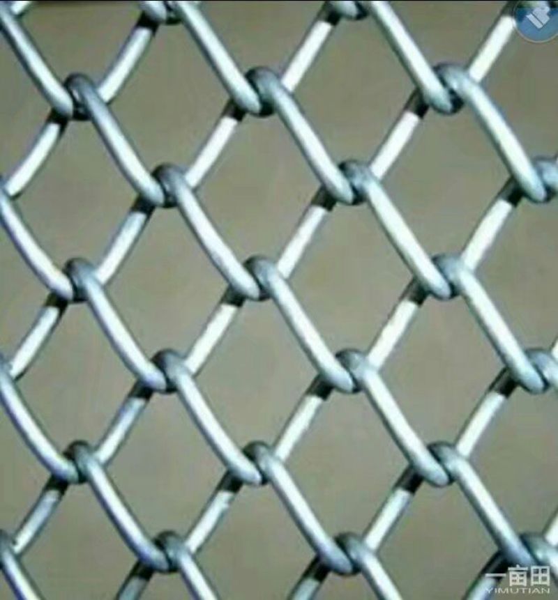 养殖网