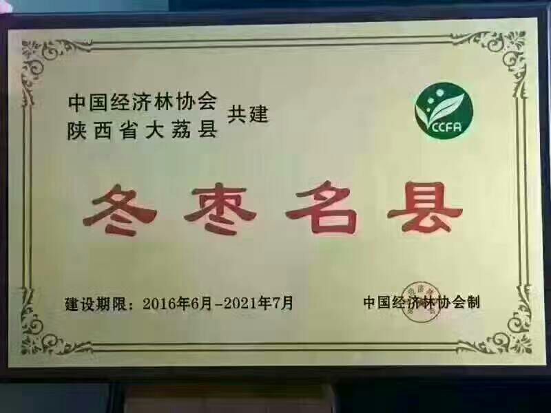 陕西大量供应大荔冬枣产地直供支持一件代发