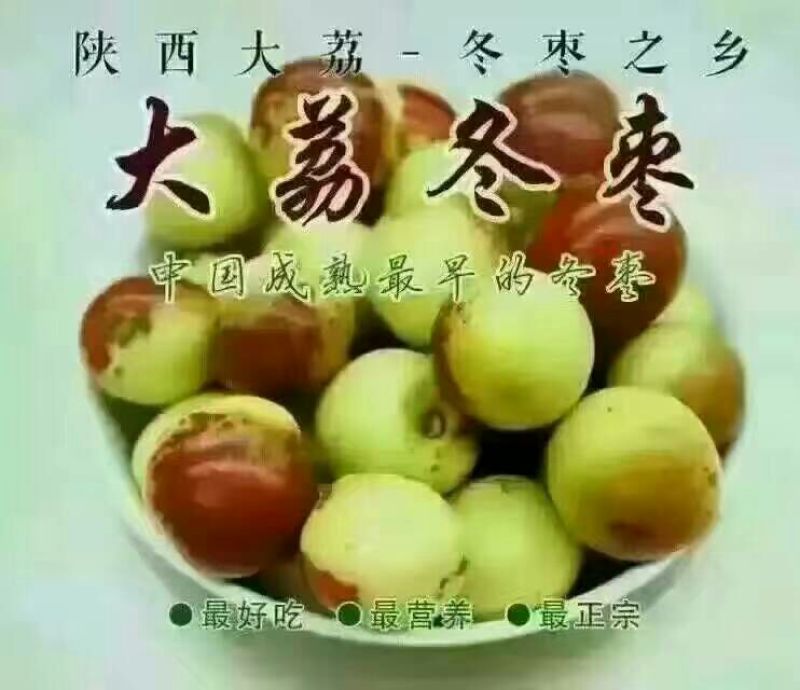 陕西大量供应大荔冬枣产地直供支持一件代发