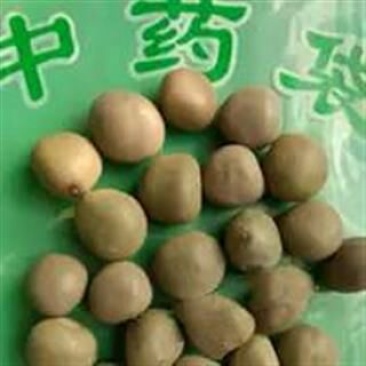 大托叶云实国产1公斤起批无硫无添加不包邮正品