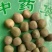 大托叶云实国产1公斤起批无硫无添加不包邮正品