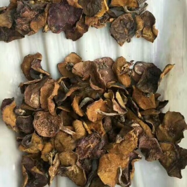 松蘑二级
