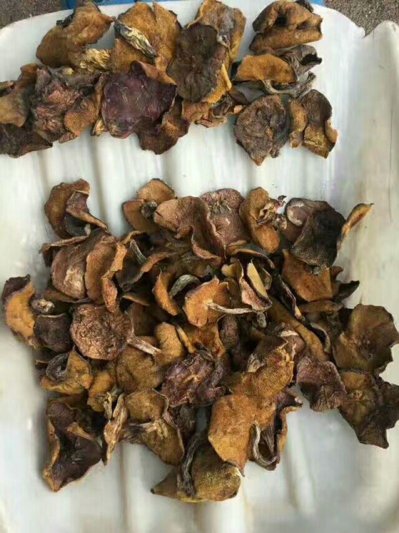 松蘑二级