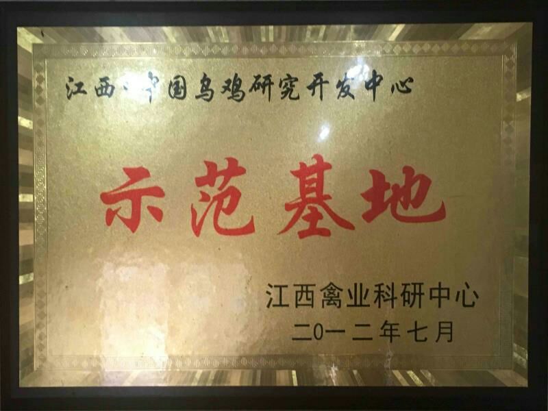 黑羽乌鸡土鸡