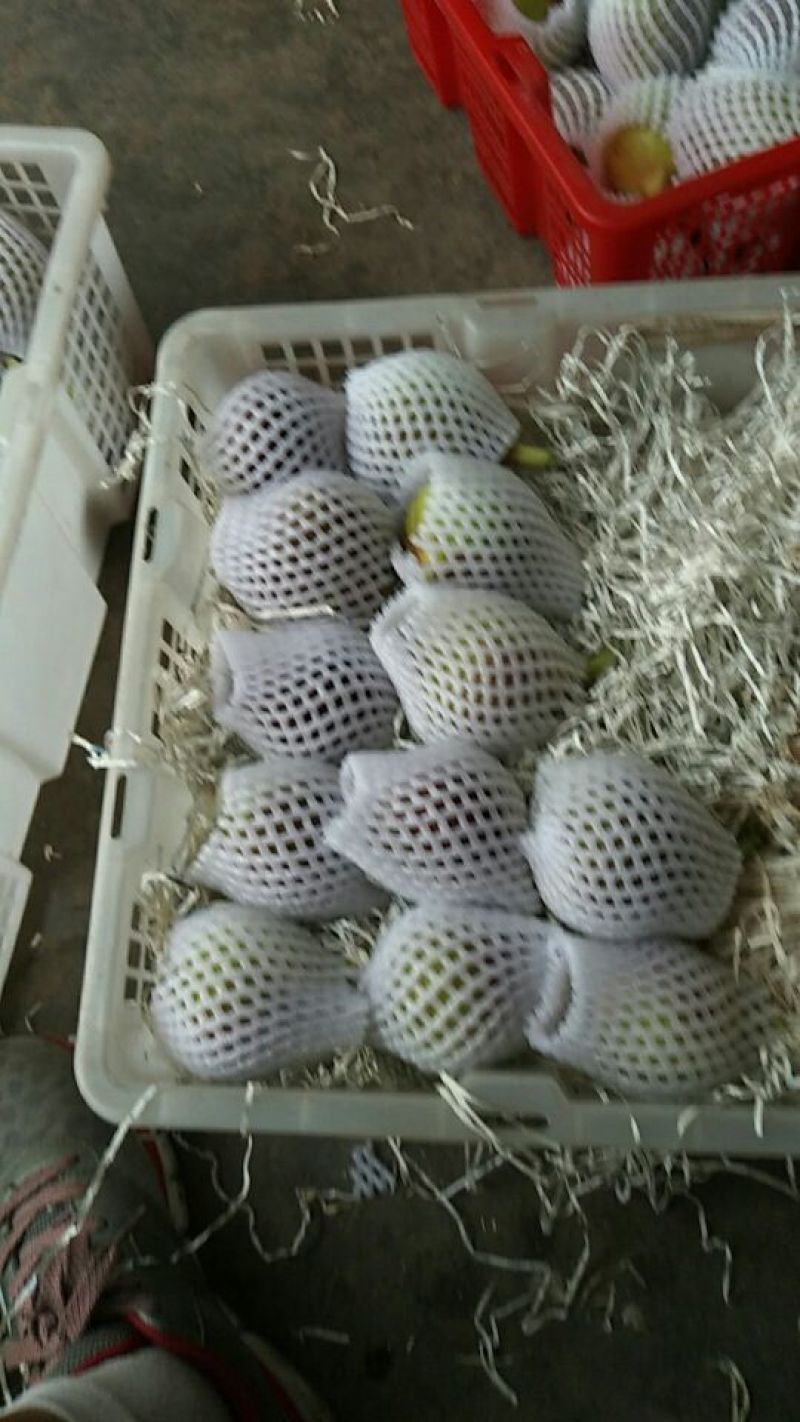 无花果80~90g