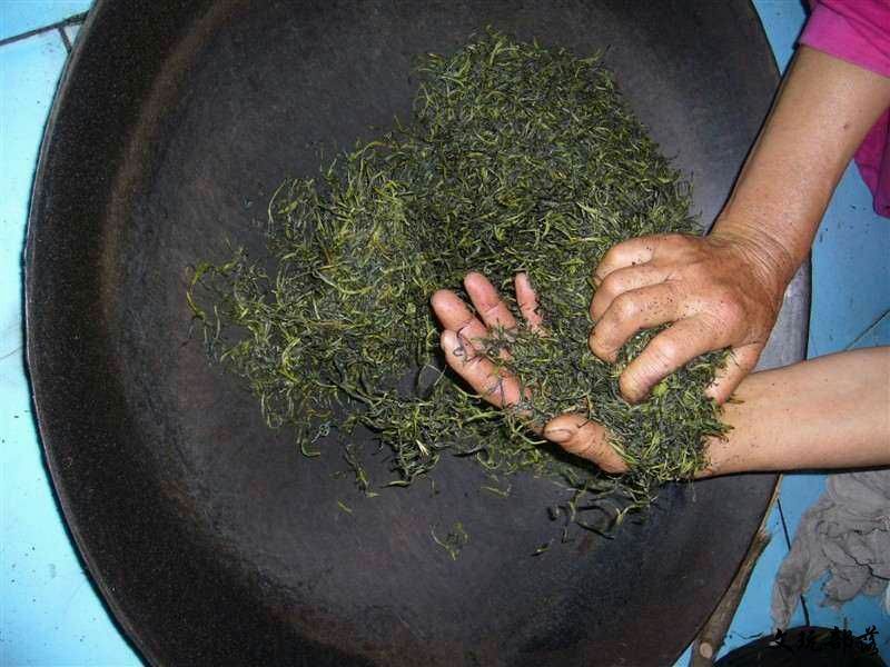 绿茶一级