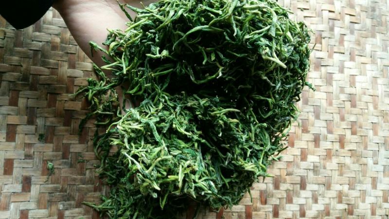 绿茶一级