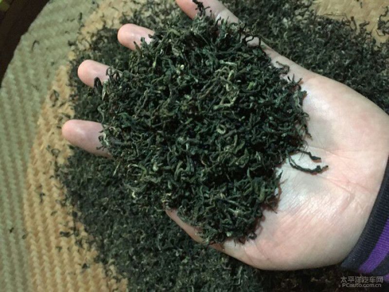 绿茶一级
