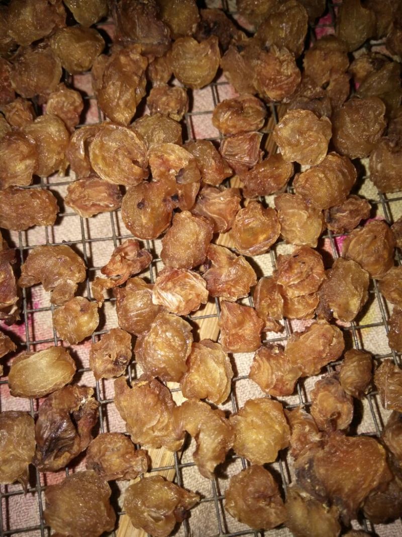 传统工艺制作，高州特产石硖元肉大量上市，品质保证欢迎咨询