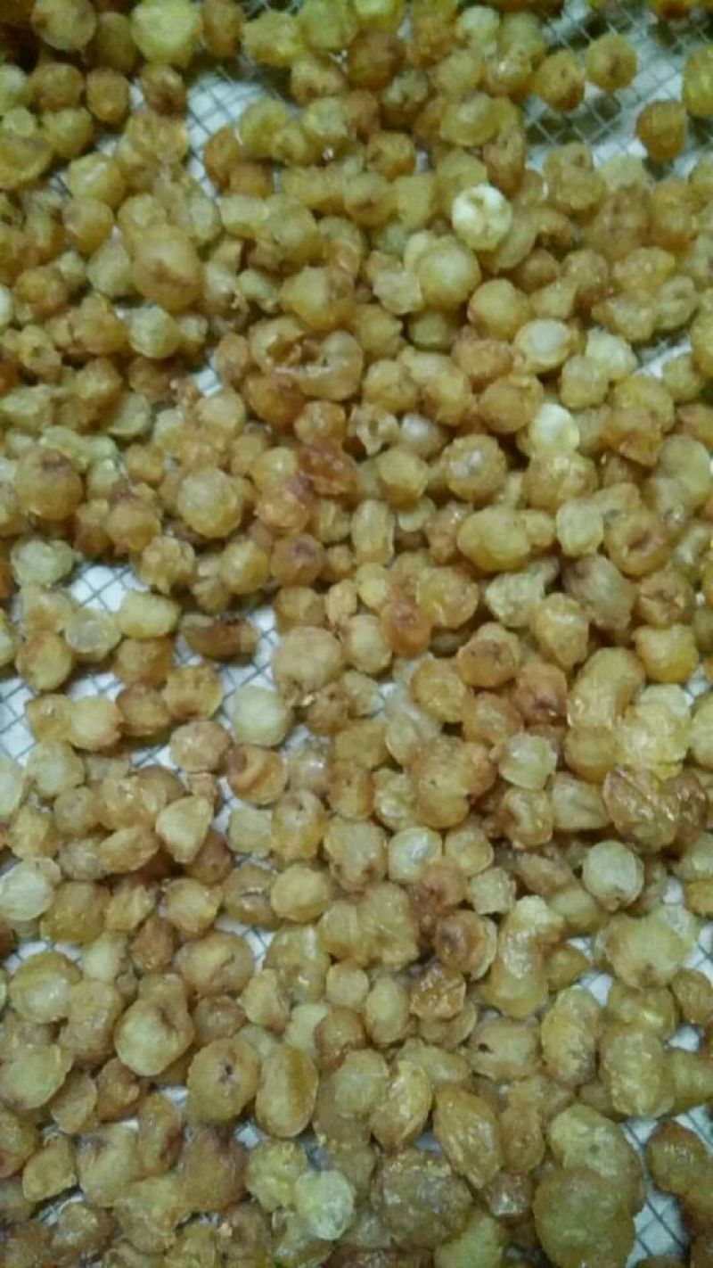 传统工艺制作，高州特产石硖元肉大量上市，品质保证欢迎咨询