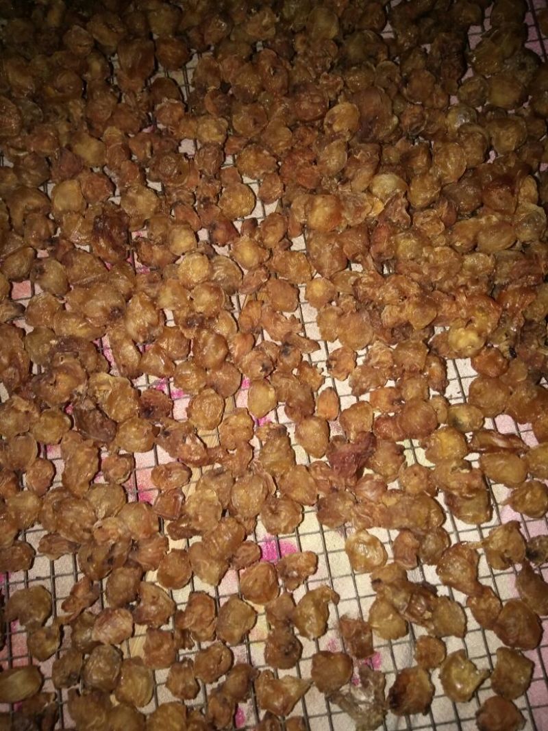 传统工艺制作，高州特产石硖元肉大量上市，品质保证欢迎咨询
