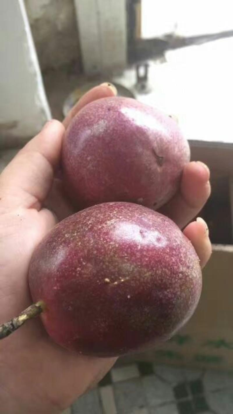 紫香一号百香果紫皮百香果肉肥当季孕妇新鲜水果鸡蛋果柠檬