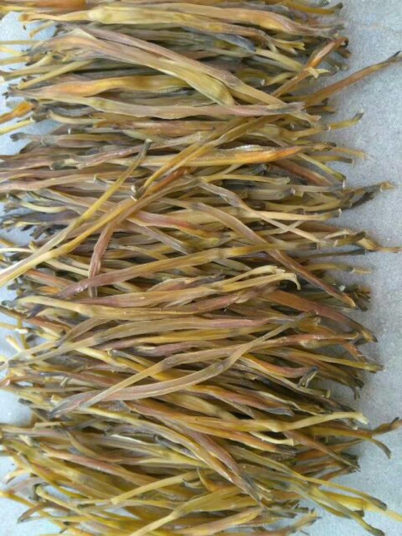 干黄菜