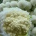 本地精品白花菜，质量有保证，产地真供，专业包装团队