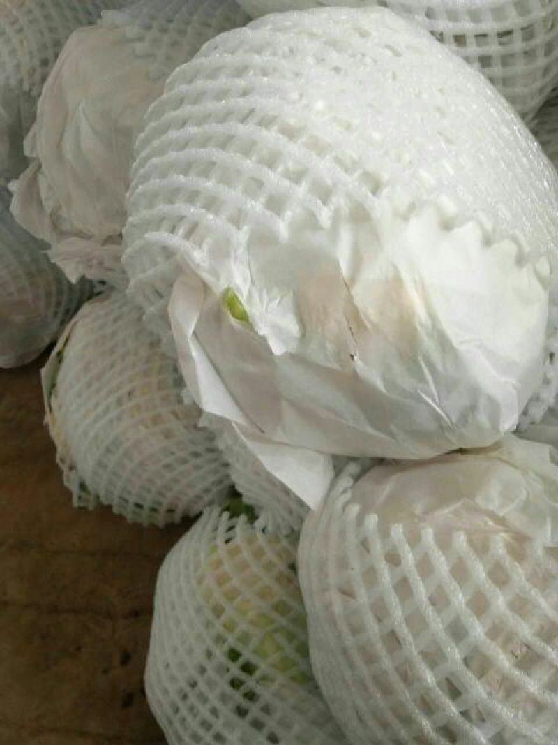 本地精品白花菜，质量有保证，产地真供，专业包装团队