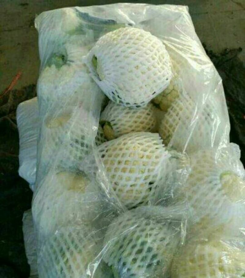 本地精品白花菜，质量有保证，产地真供，专业包装团队