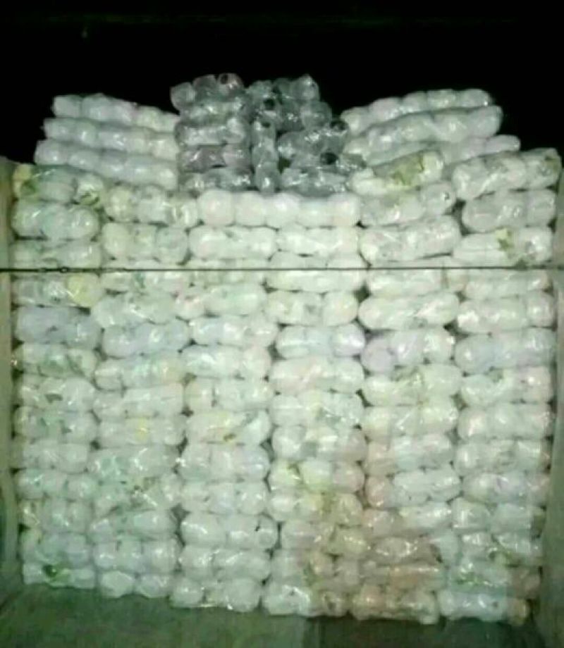 本地精品白花菜，质量有保证，产地真供，专业包装团队