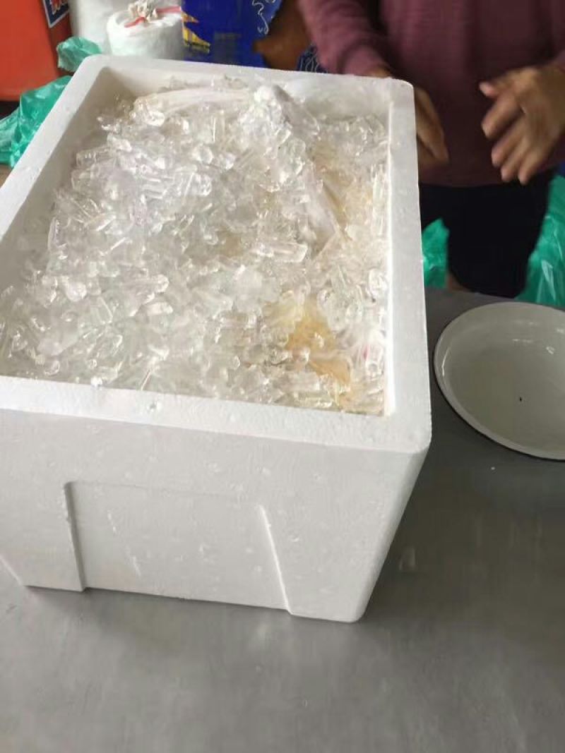 菠萝1~1.5斤
