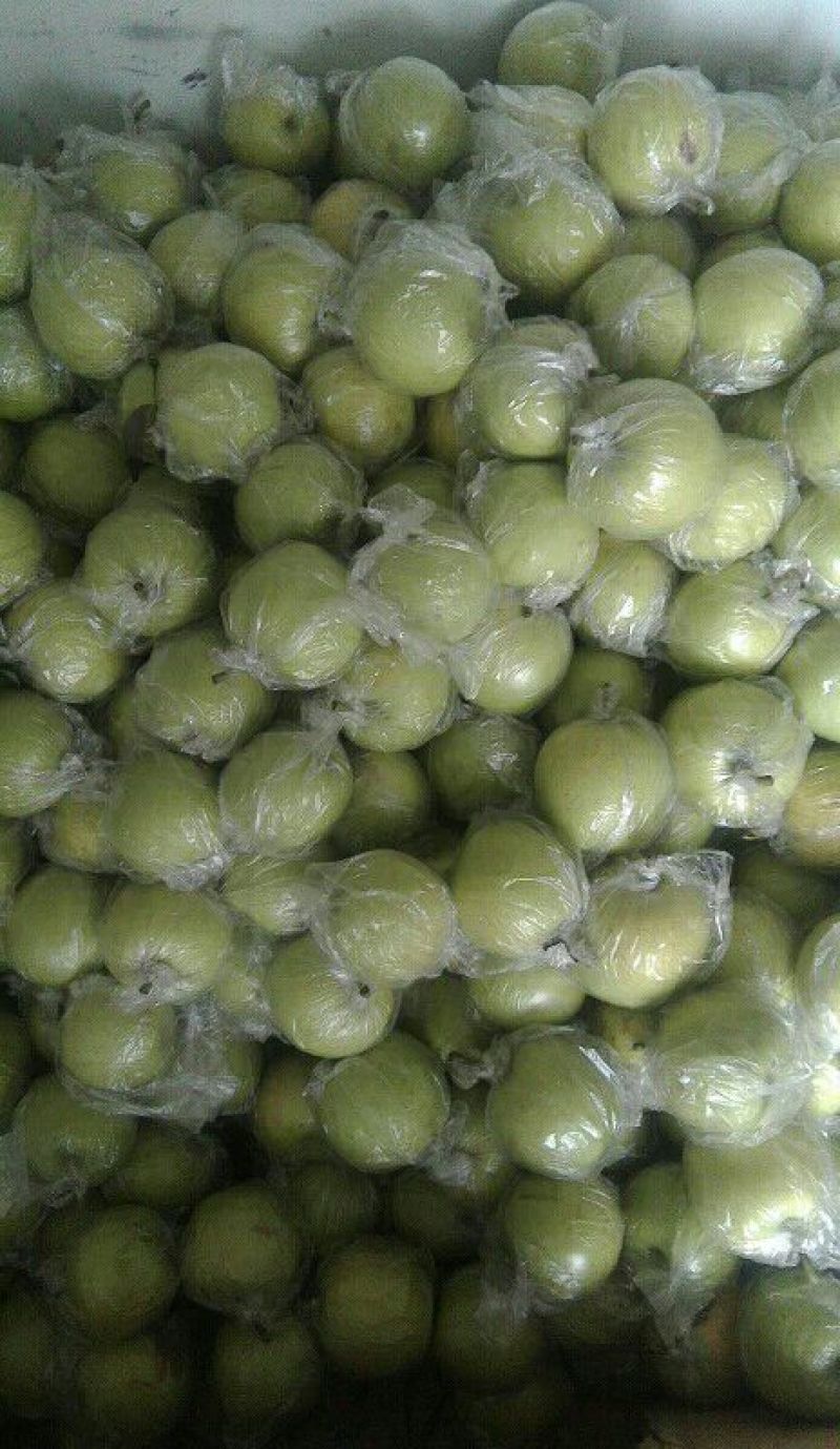 皇冠梨纸加膜500~550g