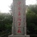 四川香椿苗51~80cm代收，代发，产地一手货源