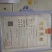 四川香椿苗51~80cm代收，代发，产地一手货源