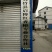 四川香椿苗51~80cm代收，代发，产地一手货源