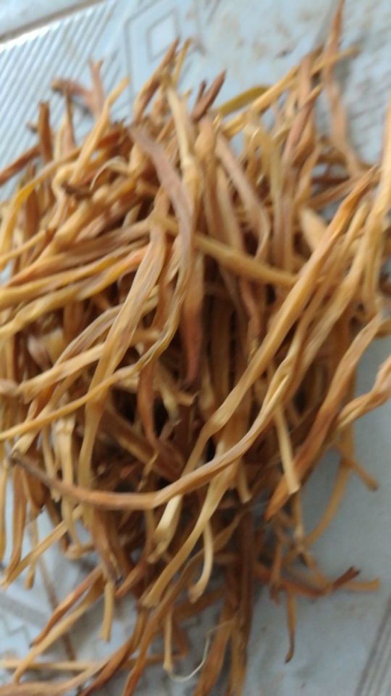 干黄菜